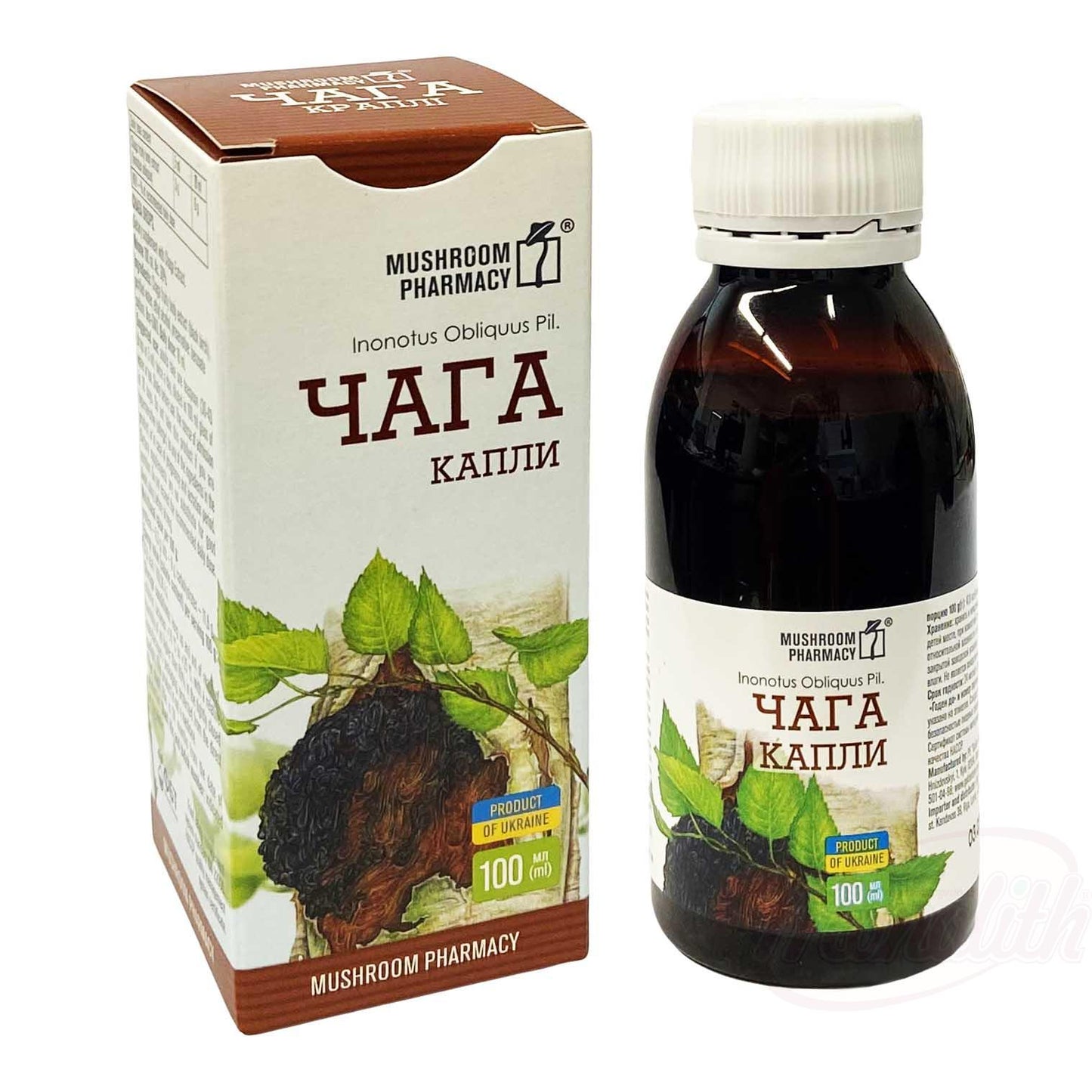 OURS MARKET CHAGA Tropfen - Complément alimentaire au champignon chaga, solution alcoolique 30% vol., 100 ml